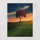 Recherche de ciel dramatique cartes postales Paysage