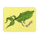 Recherche de insectes magnets Vert