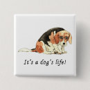Recherche de beagle badges Drôle