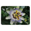 Recherche de passion magnets Floraison