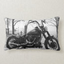 Zoek naar davidson Harley