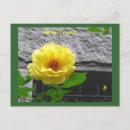 Recherche de jaune cartes postales Friend