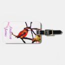 Recherche de migration de colibri Migration des colibris
