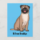 Recherche de chiens drôles cartes postales Dessin