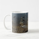 Recherche de cygnes tasses Oiseaux