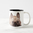 Recherche de canine tasses Français