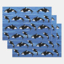 Recherche de orques papier cadeau Arctique