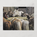 Recherche de table ronde cartes postales Animaux