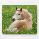 Recherche de poney mignon tapis souris Cheval