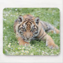 Zoek naar tijger mousepad muismatten Sneeuw