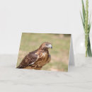 Recherche de queue rouge vœux cartes Nature