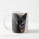 Recherche de image de chat noir tasses Animal