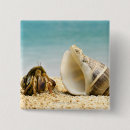 Recherche de de coquille badges Vie marine
