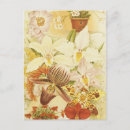Recherche de orchidee cartes postales Toute personne