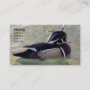 Recherche de canard en bois cartes visite Drak