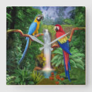 Recherche de parot horloges Parrots