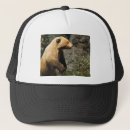 Recherche de ours blanc casquettes Nature