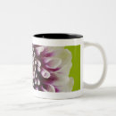 Recherche de fraîcheur tasses À l'intérieur