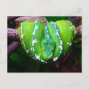 Recherche de serpents cartes postales Faune