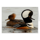 Recherche de faiseurs cartes postales Faune