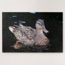 Recherche de canard puzzles Énigmes
