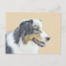 Recherche de petit berger cartes postales Pour tous
