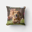 Recherche de mémorial de chien Perte d'animal de compagnie