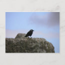 Recherche de druides cartes postales Angleterre