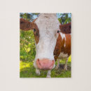 Recherche de vache puzzles Rural
