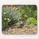 Recherche de écureuils tapis souris Photographe