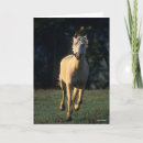 Zoek naar palomino paard kaarten Ras