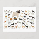Recherche de race cartes postales Mignon
