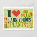 Recherche de carnivores cartes postales Dessin