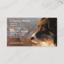 Recherche de border collie cartes visite Frontière