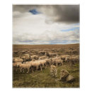 Recherche de ne soyez pas un mouton posters Lion
