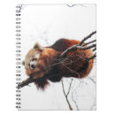 Recherche de panda carnets Arbre