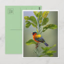 Recherche de arbre abstrait cartes postales Nature