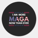 Zoek naar aanhanger stickers Houd amerika geweldig