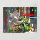 Recherche de koala noël cartes postales Australien
