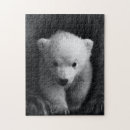 Recherche de ours blanc puzzles Bébé