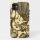Zoek naar zeester iphone hoesjes Zanddollar