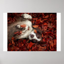 Zoek naar babydieren posters Puppy
