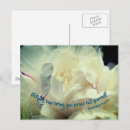 Recherche de peace photographie Floral