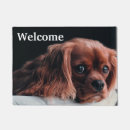 Recherche de cavalier terrasses jardins Rouge