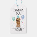 Recherche de goldendoodle Doré