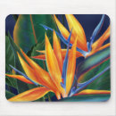 Recherche de oiseau tropical tapis souris Oiseau du paradis