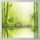 Recherche de bambou posters Méditation