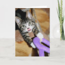 Zoek naar humor afstuderen kaarten Schattig