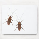 Recherche de punaise tapis souris Insecte