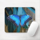Recherche de papillon bleu morpho tapis souris Insecte
